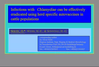 Eradicating Chlamydia Infections in Cattle with Herd-Specific Autovaccines