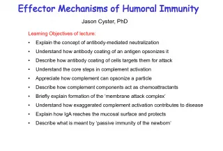 Effector Mechanisms of Humoral Immunity: Antibody Mediated Neutralization, Opsonization, and Complement Activation