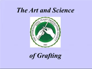 The Art and Science of Grafting: What You Need to Know.