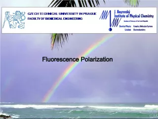 Fluorescence Polarization and Optical Polarizers