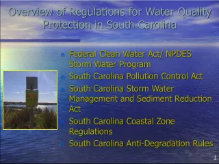 Understanding Water Quality Protection Regulations in South Carolina