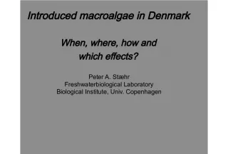 Introduction of Macroalgae in Denmark: Its Effects