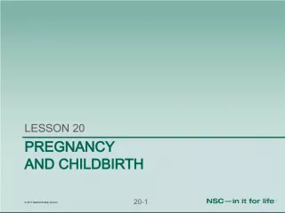Pregnancy and Childbirth Safety: Preparing for a Safe Delivery