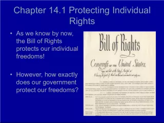 Protecting Individual Rights and Due Process