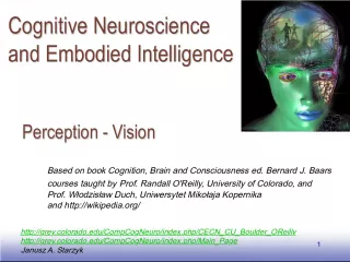 Understanding Perception and Motivation in Cognitive Neuroscience