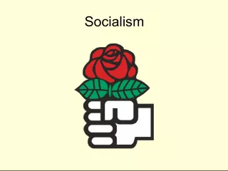 The Evolution and Challenges of Socialism