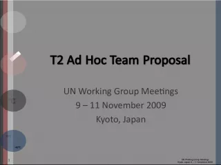 T Ad Hoc Team Proposal at UN Working Group Meetings in Kyoto, Japan