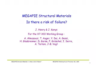 Understanding the Risk of Failure in MEGAPIE Structural Materials