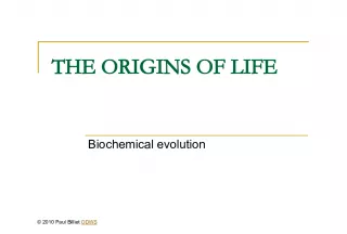 The Origins of Life: Biochemical Evolution