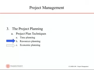 Resource Planning in CLAMDA IM Project Management