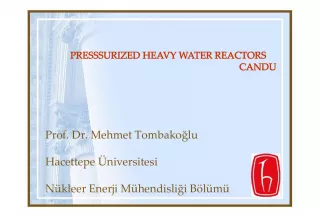 Pressurized Heavy Water Reactors (PHWR) and CANDU