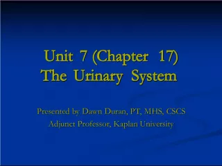 The Urinary System: Kidneys and Formation of Urine