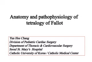 Tetralogy of Fallot: Anatomy, Pathophysiology and History