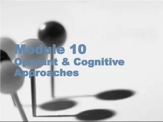 Understanding Operant and Cognitive Approaches in Behavior Modification