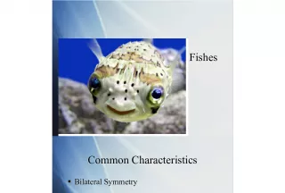 Overview of Fishes: Common Characteristics and Classification