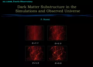 Substructure of Dark Matter in the Simulations and the Observed Universe