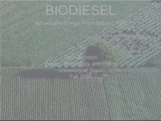 Biodiesel: An Overview of FAME and Its Blends