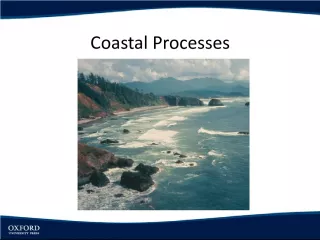 Coastal Processes: Understanding the Forces Shaping the Coastline