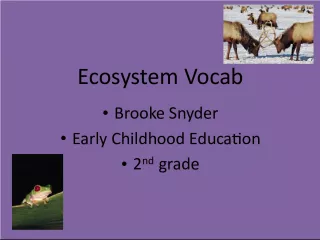 Ecosystem Vocabulary for 2nd Grade Students