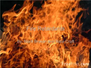 Fire Retardants: A Comprehensive Overview