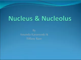 The Nucleus: A Defining Feature of Eukaryotic Cells