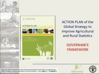 High-Level Expert Meeting to Develop the Near East Regional Action Plan for Agricultural and Rural Statistics