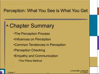 The Perception Process in Communication