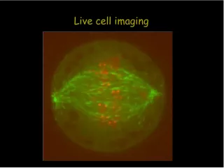 Live Cell Imaging: Planning, Markers, and Applications