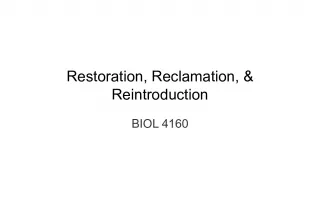 Restoration and Reclamation: Enhancing Global Patterns in BIOL 4160
