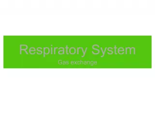 Understanding the Respiratory System: Gas Exchange and Breathing
