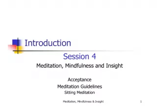 Exploring Meditation, Mindfulness, and Insight