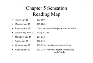 Chapter 5 Sensation and Perception
