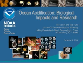 Ocean Acidification Impacts and Research in Alaska