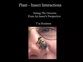 Understanding the Interactions between Plants and Insects