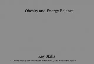 Understanding Obesity and Energy Balance for Sustainable Weight Management