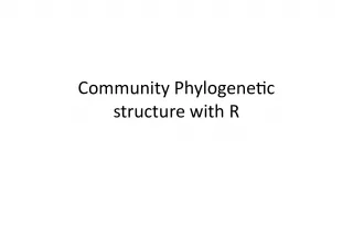 Analyzing Community Phylogenetic Structure with R