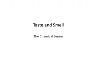 Chemical Senses: A Closer Look at Taste and Smell