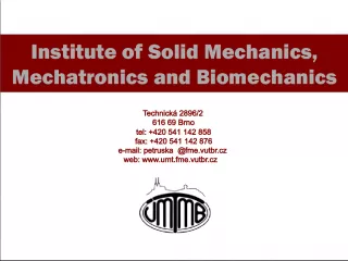 Institute of Solid Mechanics, Mechatronics, and Biomechanics: Exploring the Intersections of Engineering