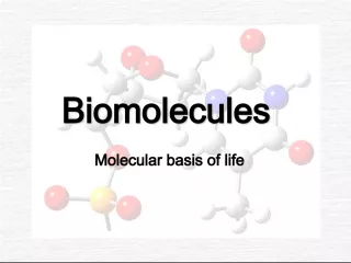 The Importance of Biomolecules and Polymers in Life