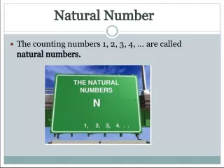 Understanding the Basics of Number Systems