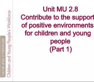 Supporting Positive Environments for Children and Young People