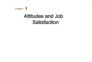 Understanding Attitudes and Job Satisfaction for Workplace Success