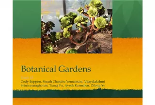 Exploring the Botanical Gardens: Team 12 Experience