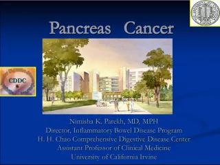 Pancreas Cancer: Understanding the Facts