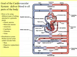 Understanding the Cardiovascular System's Goal and Mechanisms