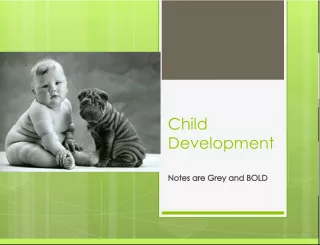 Child Development Notes are Grey and BOLD    Introduction