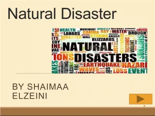 Understanding Natural Disasters: Causes and Effects