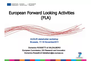 European Forward Looking Activities: Shaping the Future of Europe