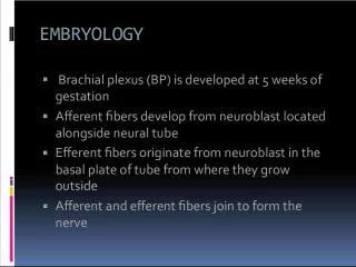 Development and Formation of Brachial Plexus in Embryology