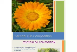 Understanding Essential Oils Composition